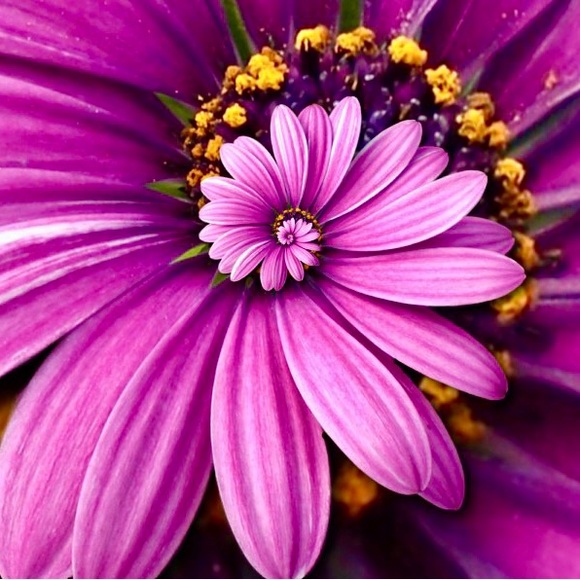 💚💙❤️💛🧡💚💙❤️💛🧡💚💙❤️💛🧡 - Picture 12 of 14